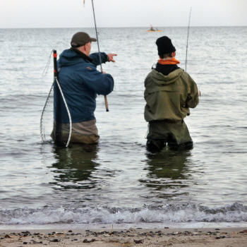 Schau� mal, das Paddelboot!